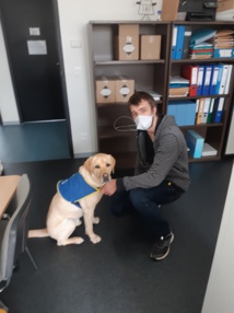 ODIAK chien d'alerte ODIAK chien d'alerte