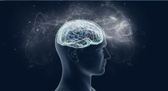 Le faux cerveau d’IBM détecte les convulsions à venir